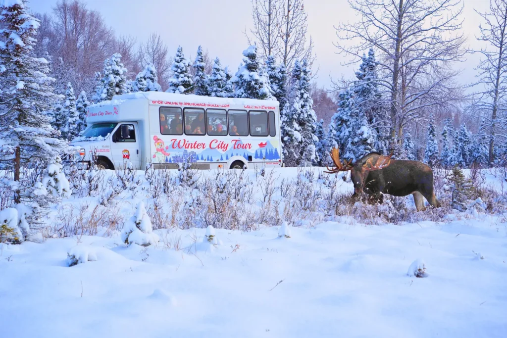 Winter City Tour