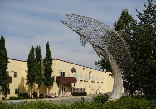 FISH HATCHERY DSC06044